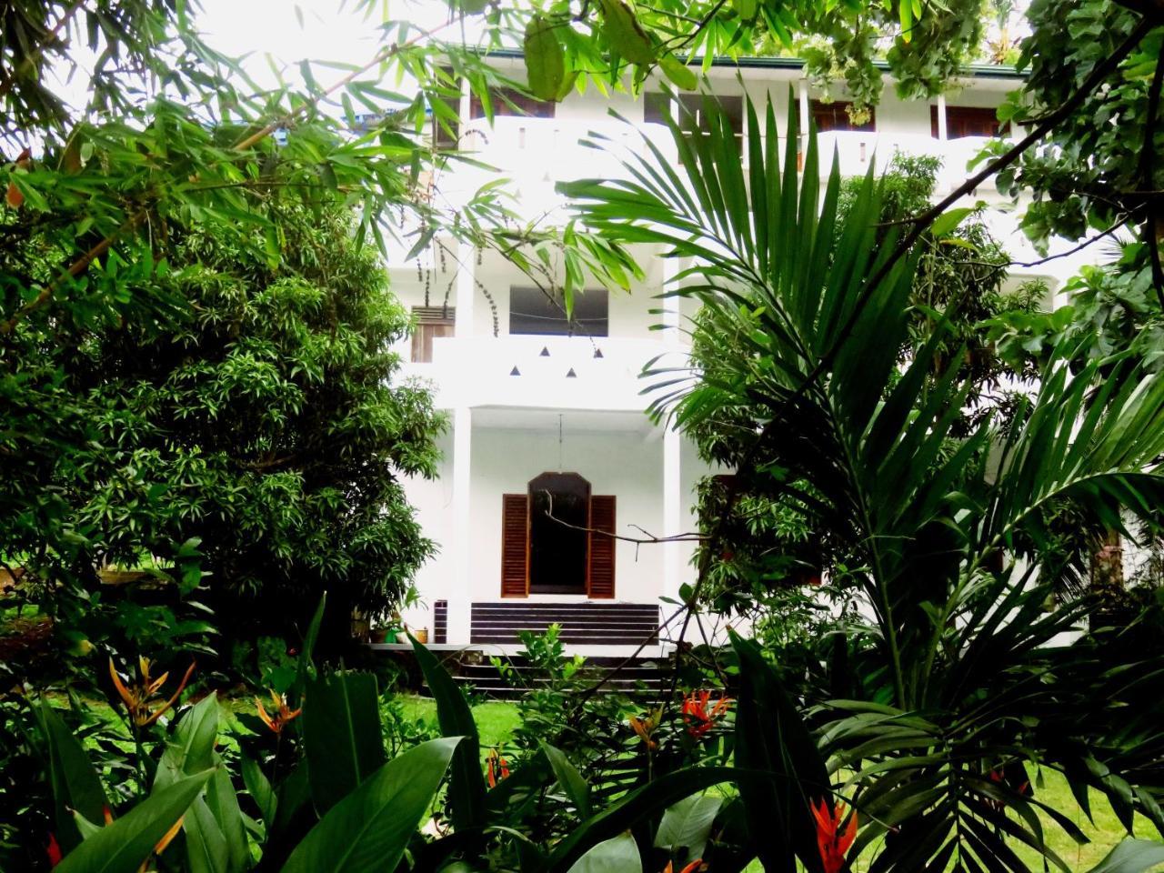 Hotel Sea Avenue - Eco Garden Tangalle Exterior foto